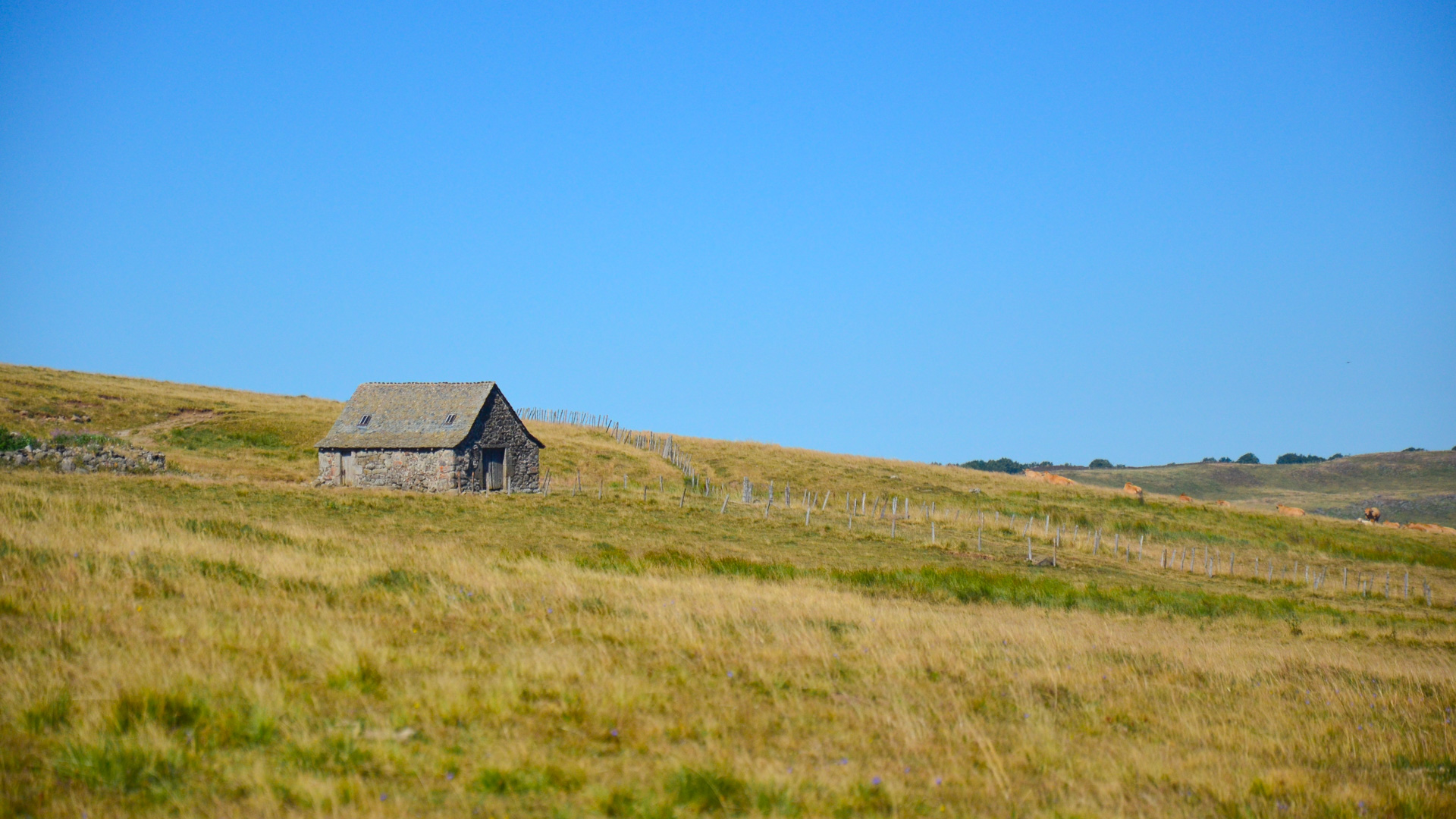 Petit maisonnette en pierres sèches au milieu d'une prairie roussie par le soleil