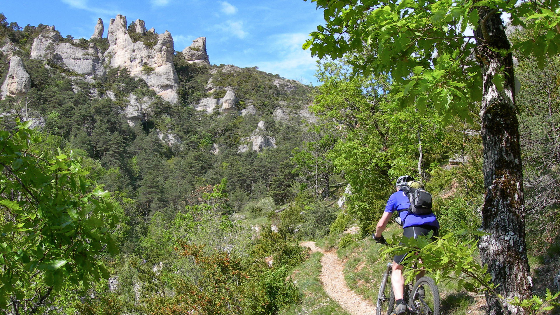 Homme à VTT sur un sentier en balcon donnant sur les gorges de la Jonte