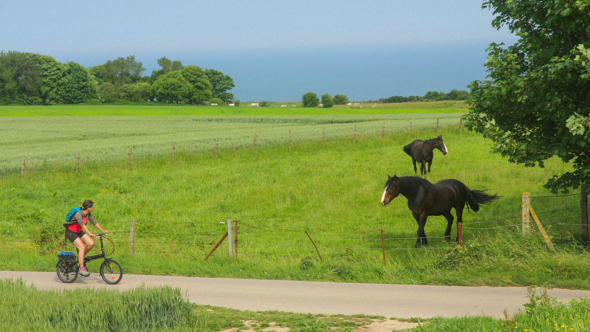 vélo sur une petite route dans la campagne normande