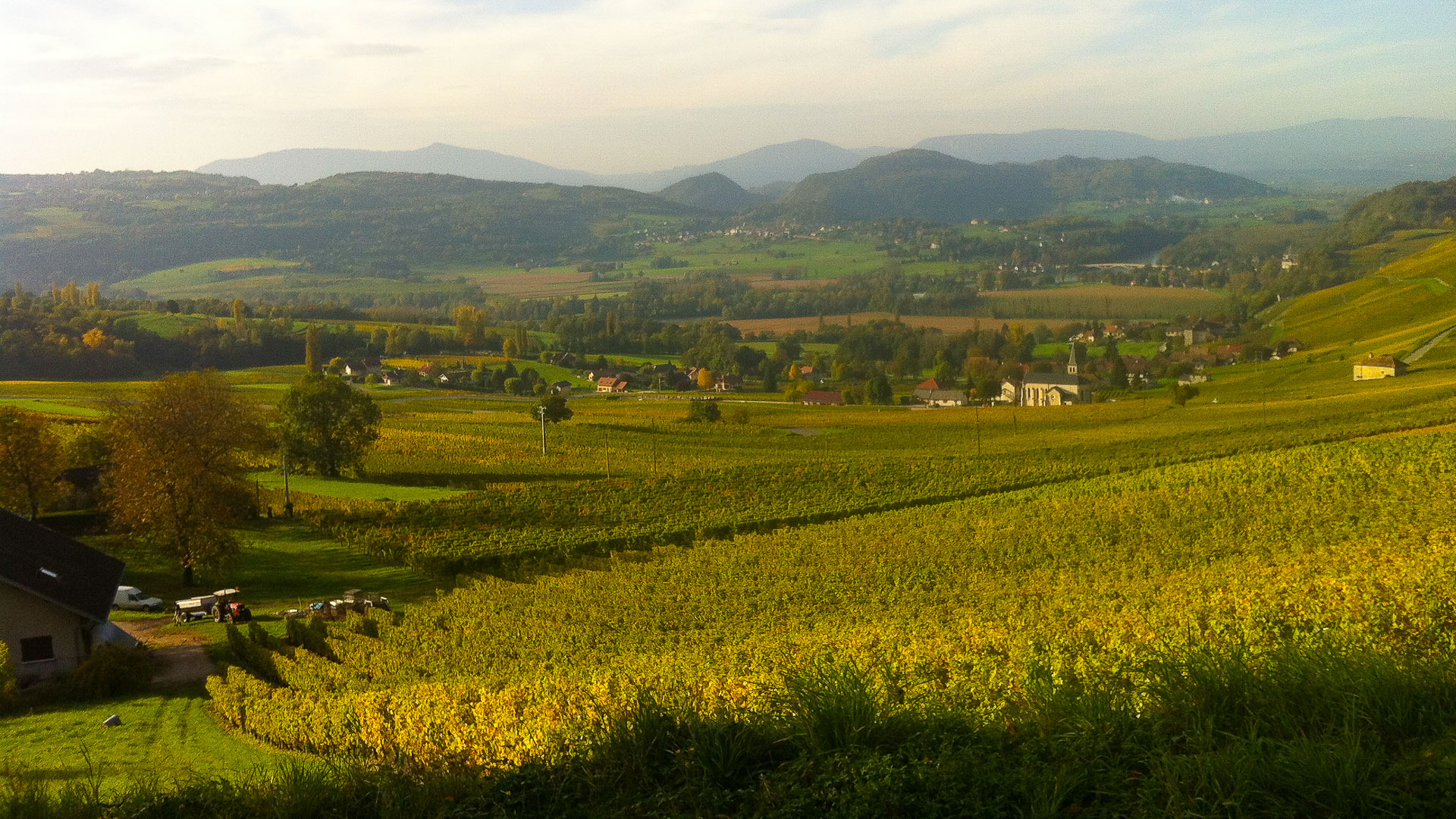 dans les vignobles de Chautagne au nord du lac du Bourget