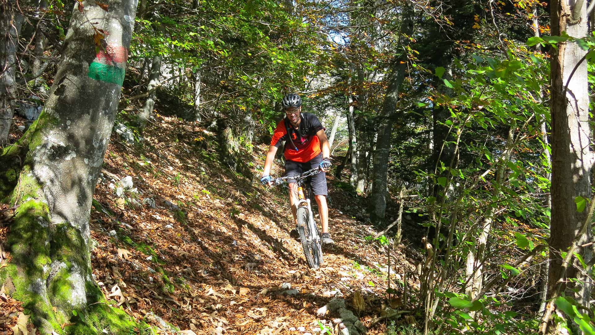 VTT sur un single dans la forêt dans les environs de Chambéry