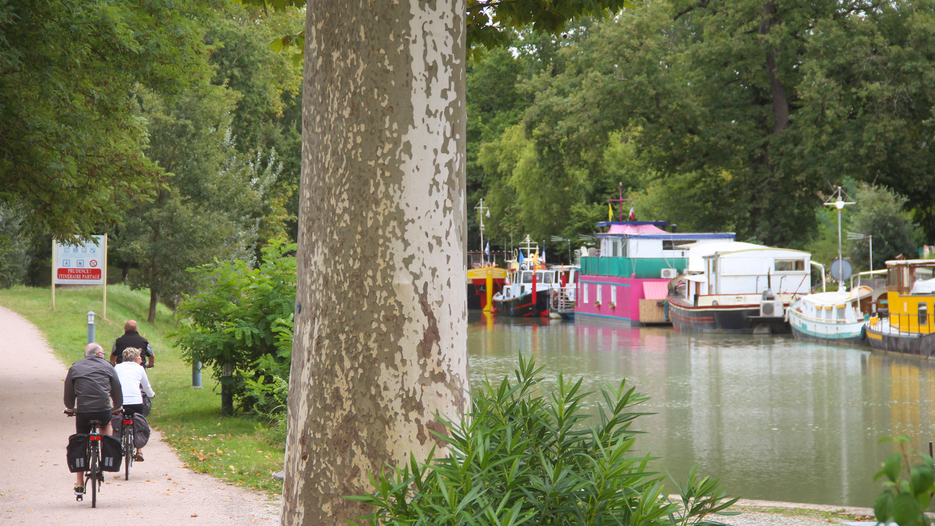 cyclistes sur voie verte le long du Canal du midi