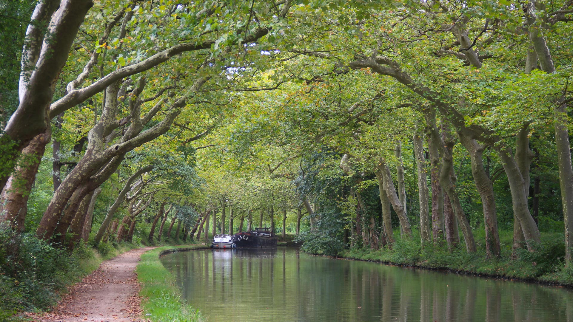 voie de halage le long du Canal du midi