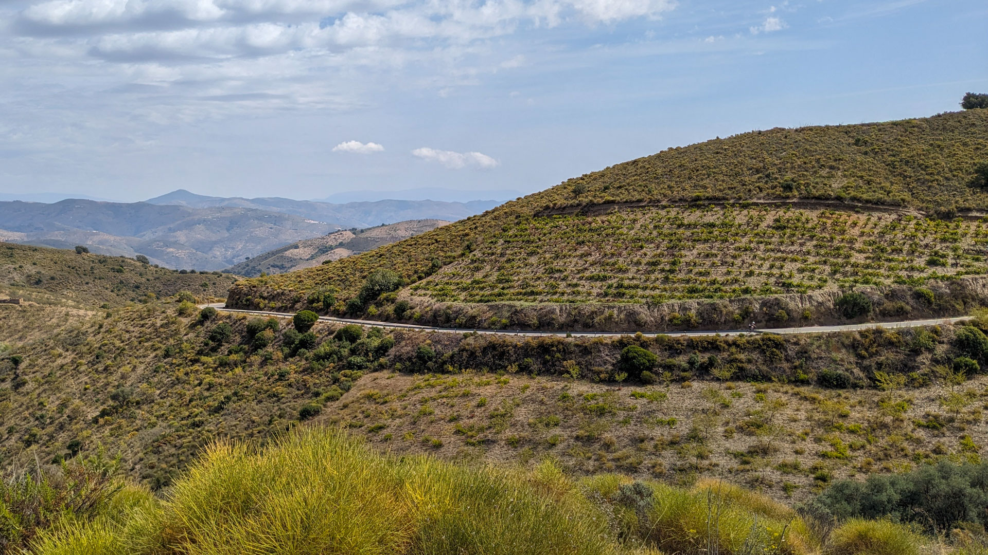 route au coeur des montagnes andalouses, recouvertes de végétation méditéranéenne