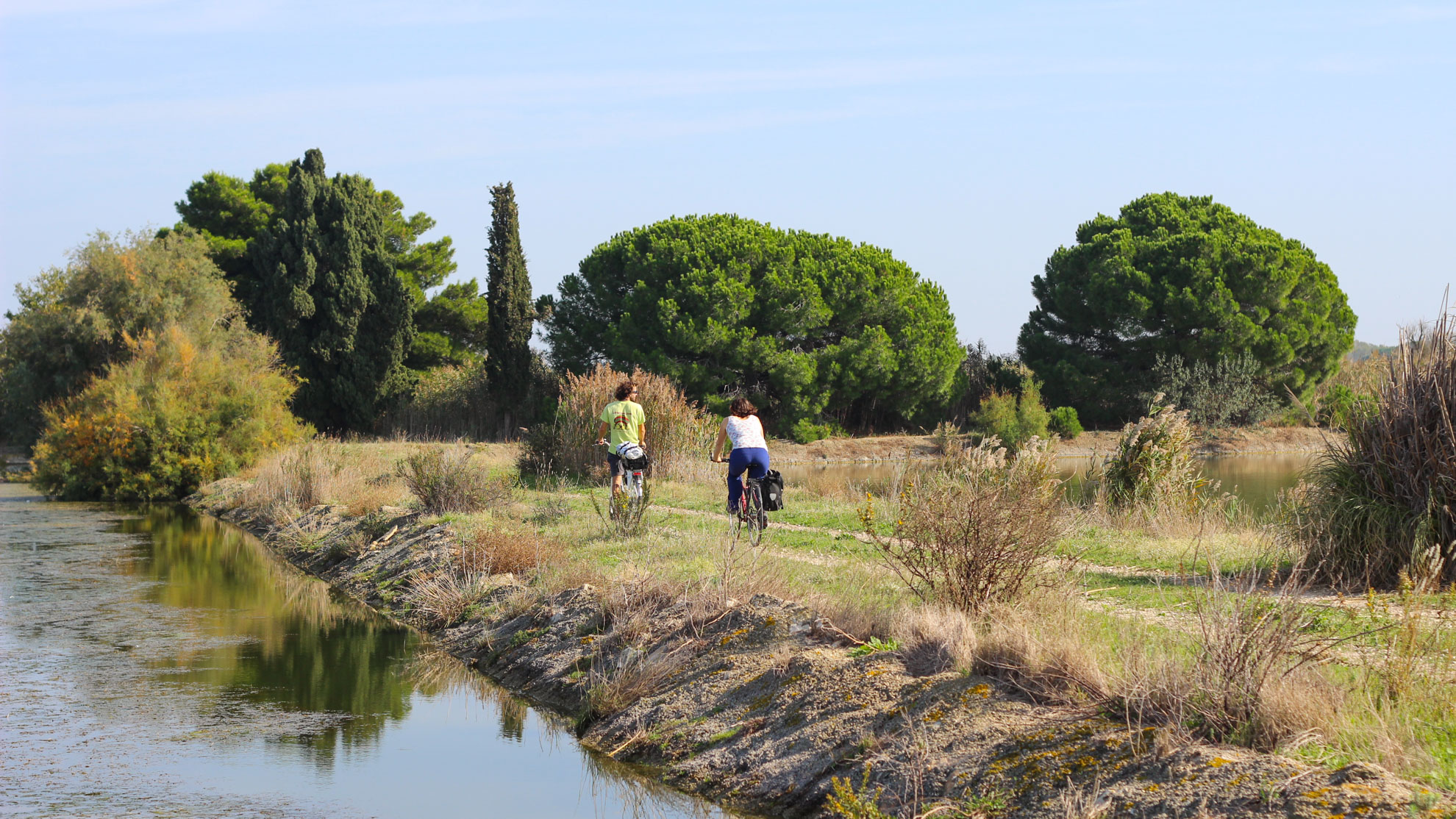 vélos le des digues en Camargue