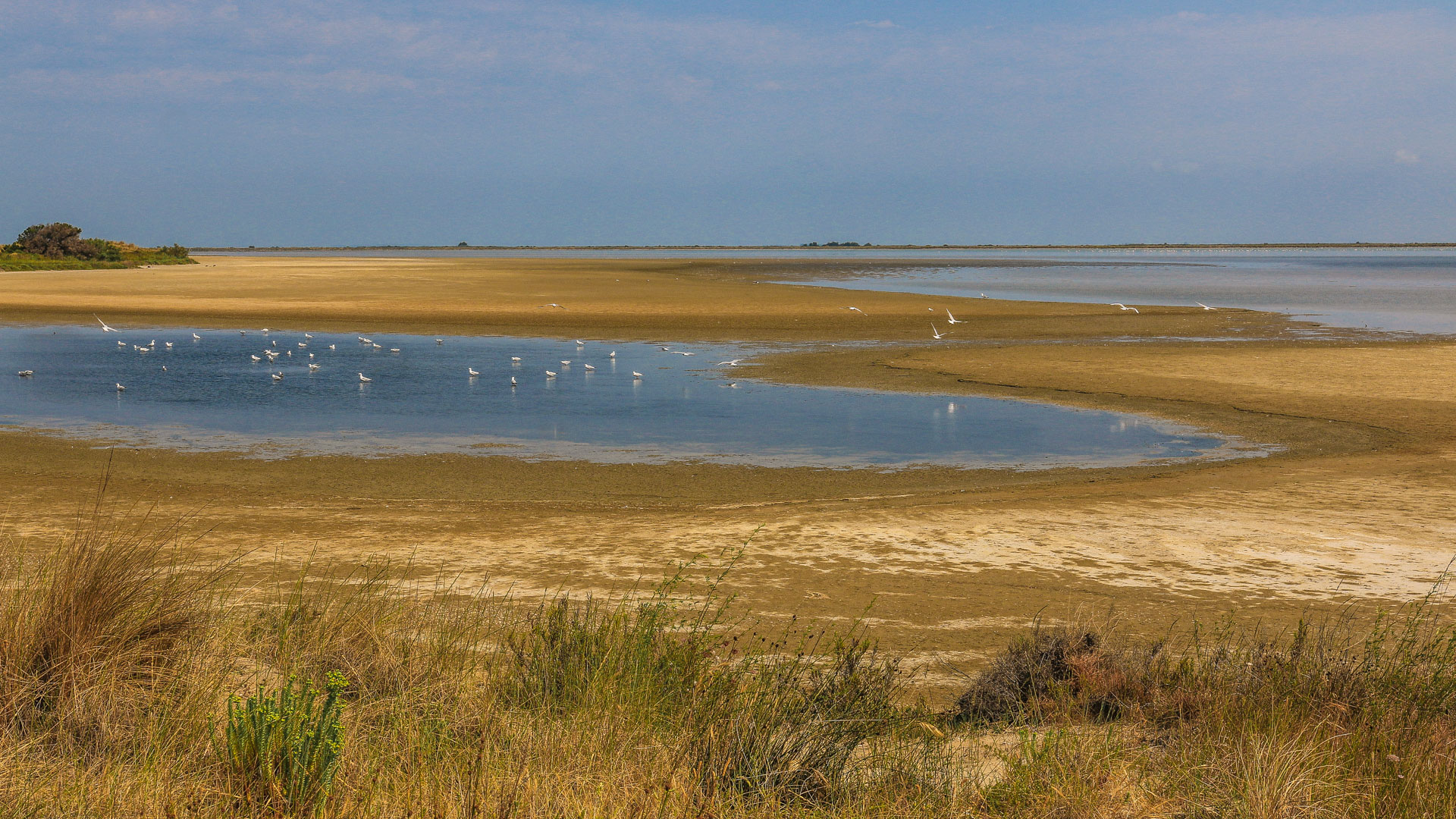 paysage de lagunes en Camargue