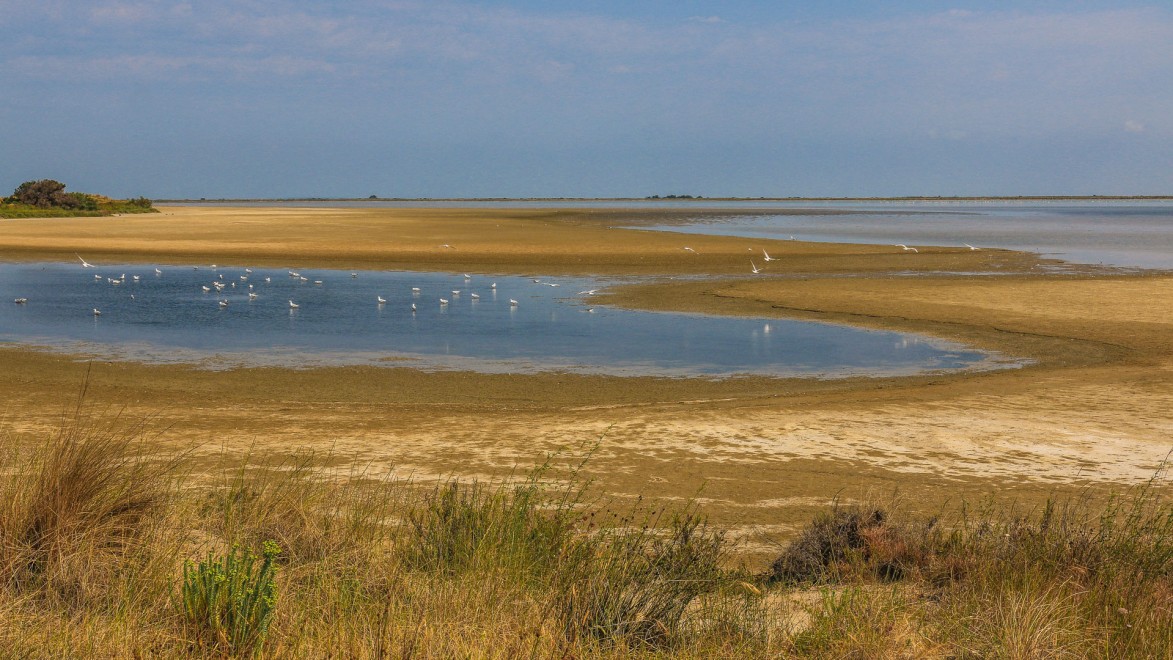 paysage de lagunes en Camargue