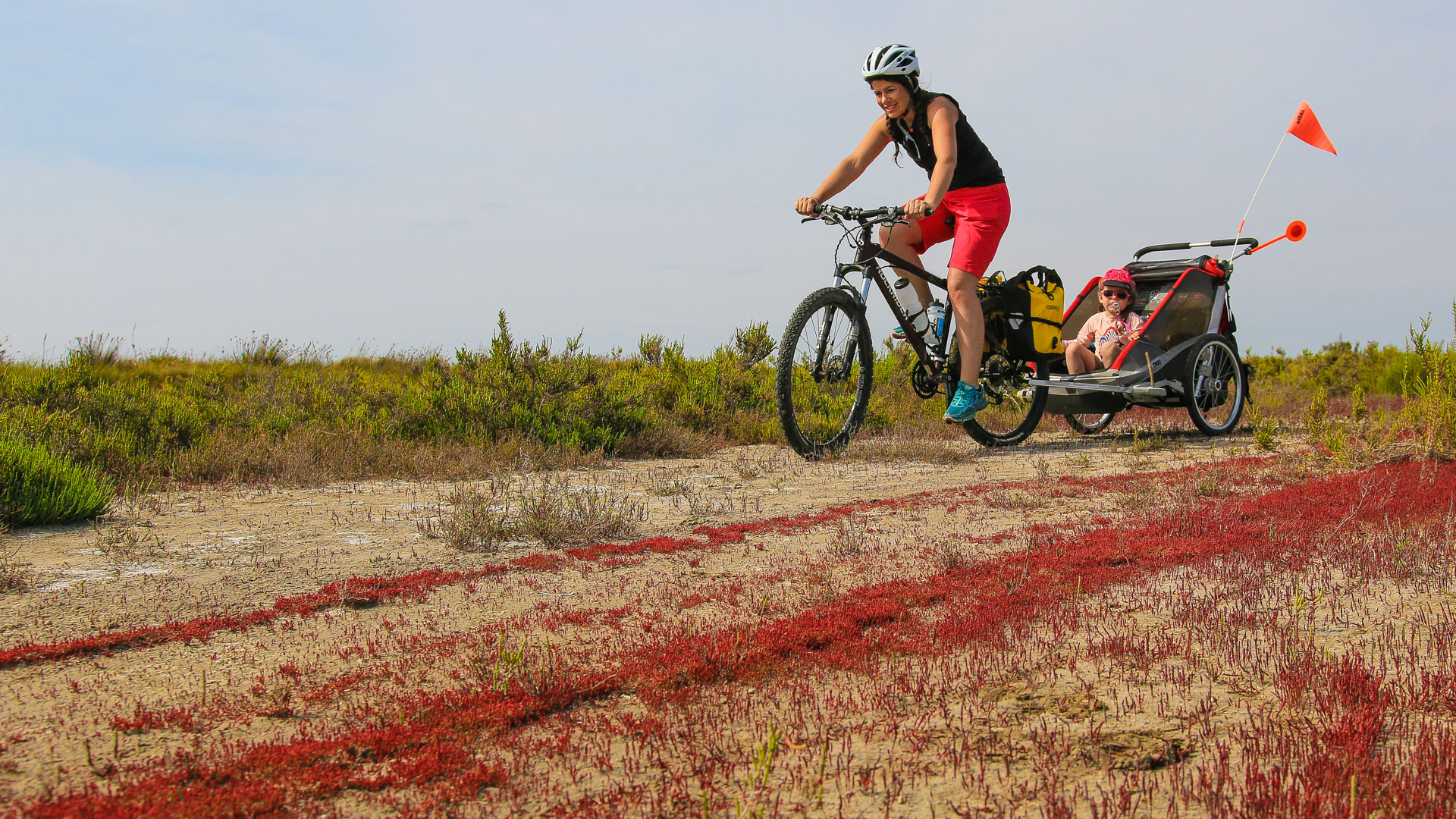 en famille à vélo avec remorque enfant sur les digues de Camargue