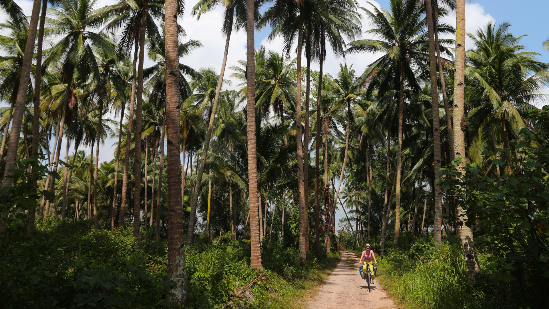 femme à vélo en Thaïlande sur une piste entourés de palmiers