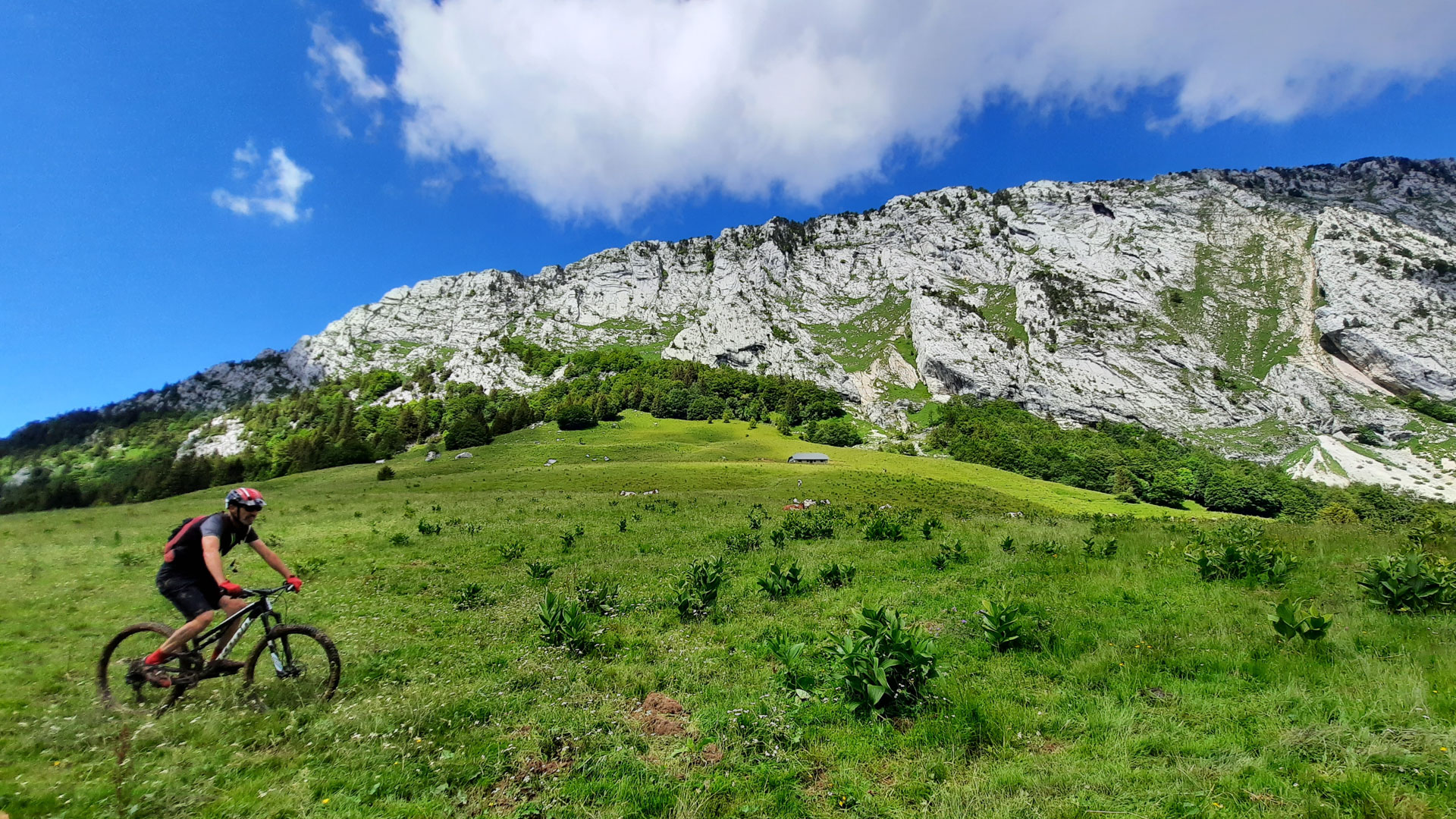 vtt dans le massif des Bauges