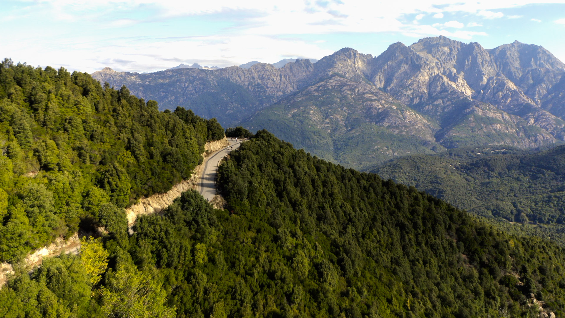 vélo de route corse route de montagne à travers la forêt