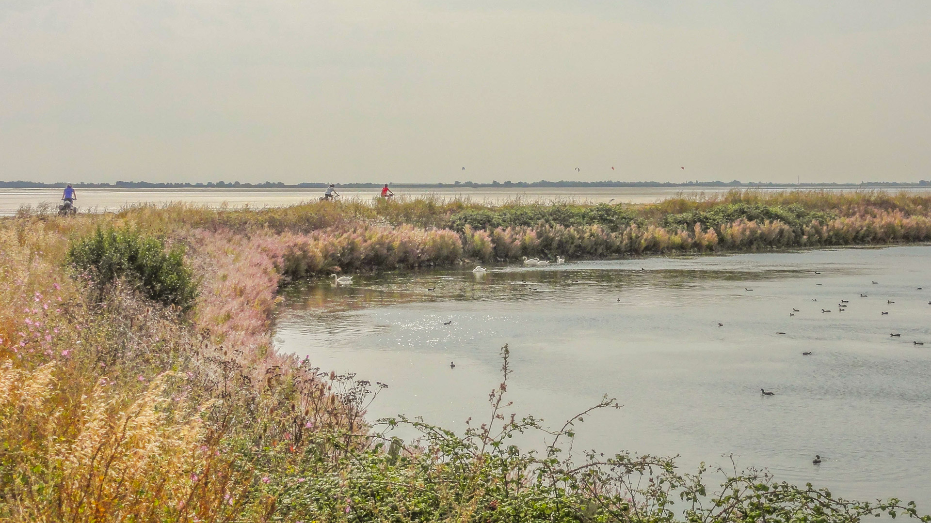 belle ambiance maritime sur le parcours vélo de la Vélodyssée