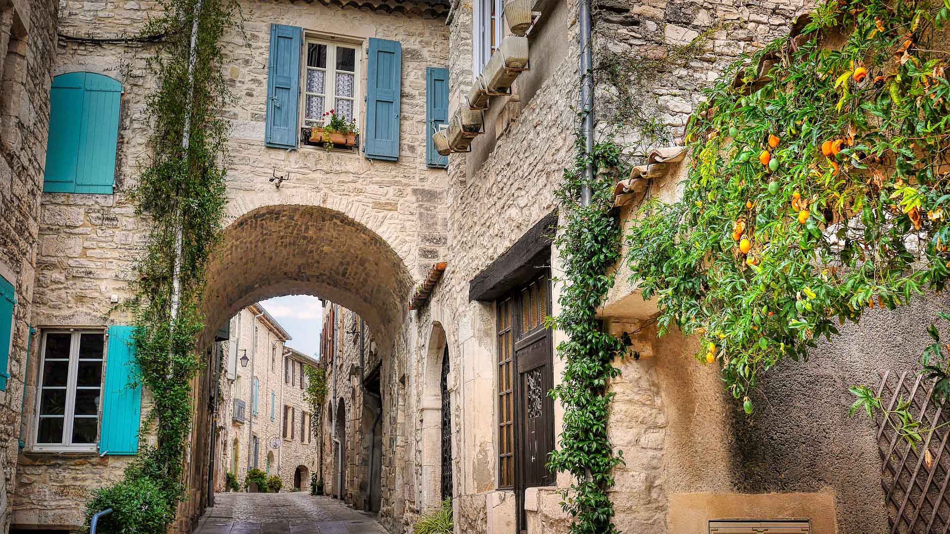 mur végétal à la bambouseraie d'Anduze