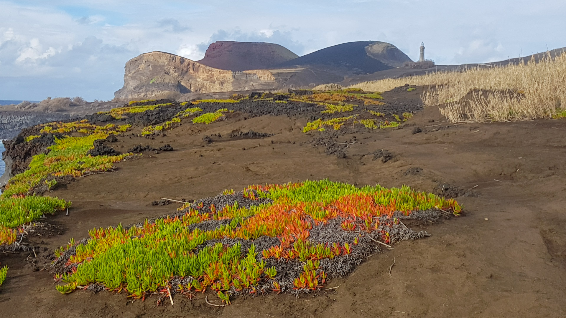 Terres volcaniques et côte sauvage des Açores