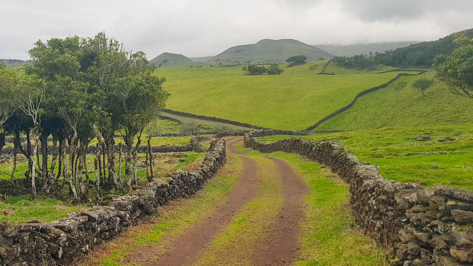 Agréable piste à vélo dans les montagnes verdoyantes