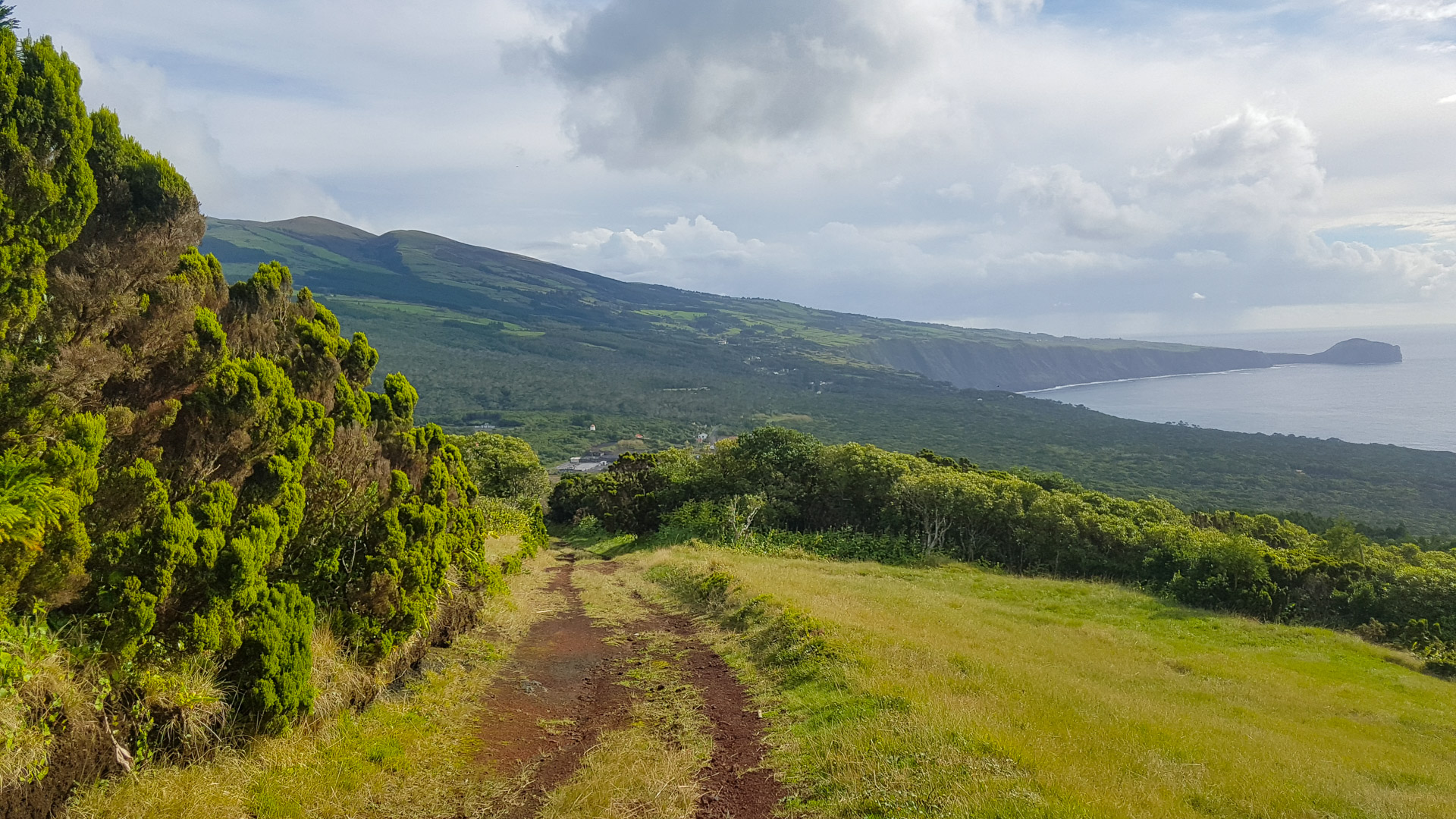 Nature sauvage des Açores, entre terres et océan