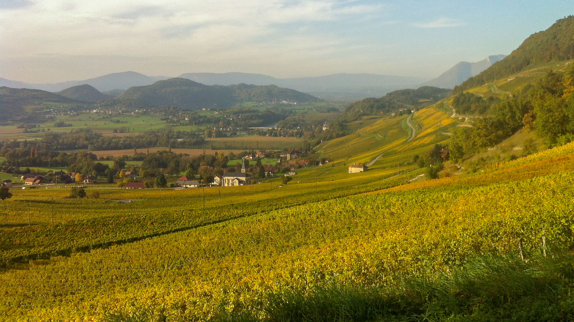 paysages de vignobles de la Chautagne