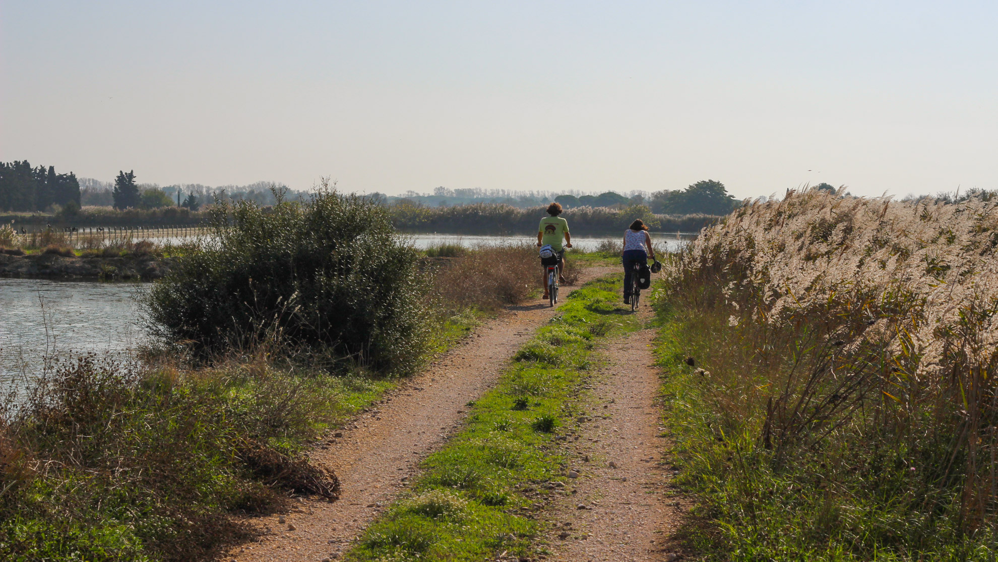 vélos sur une piste dans les marais de Camargue