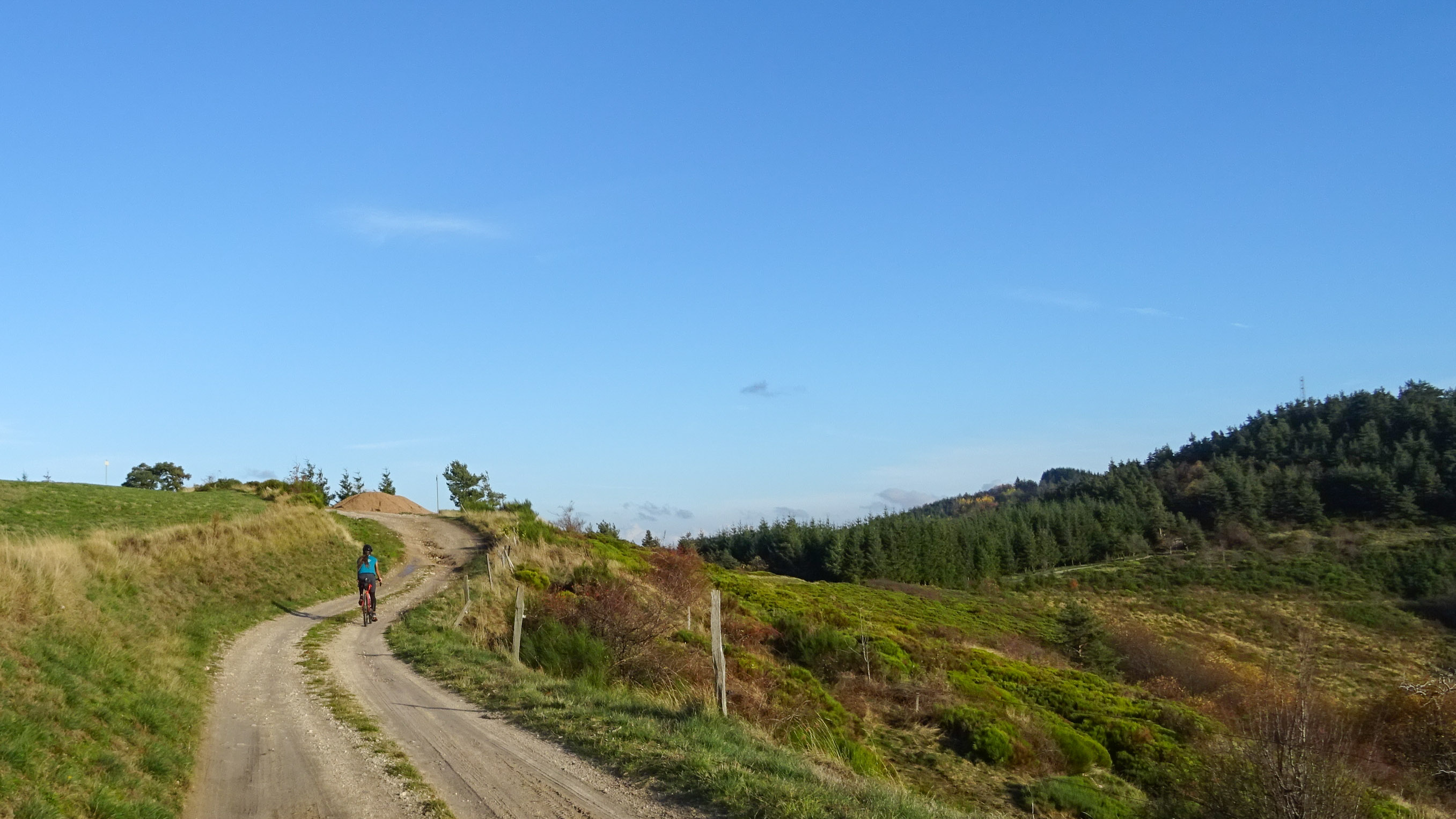 en vélo gravel sur une piste bucolique