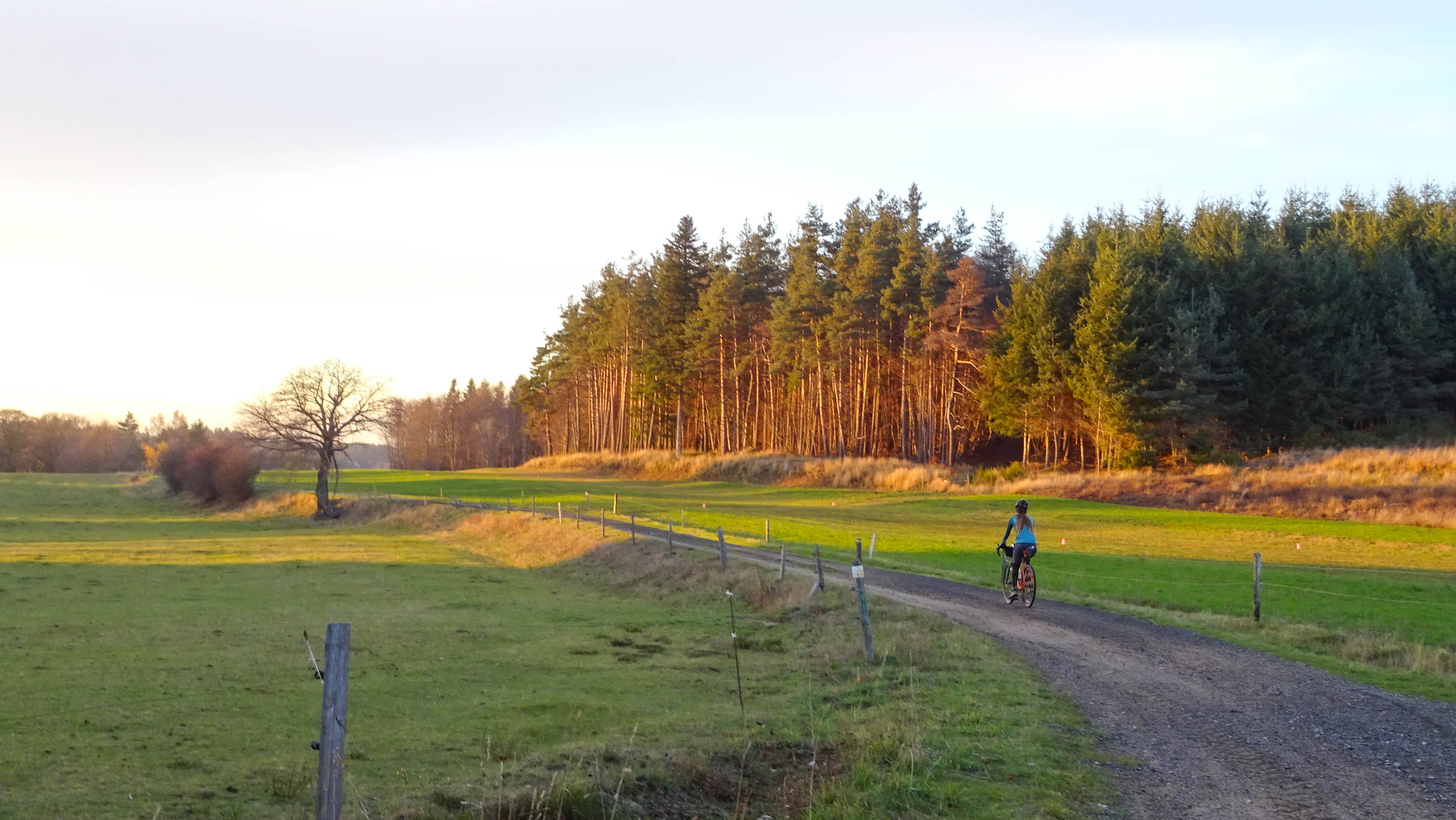 en gravel sur une petite route gravillonnées entre prés et forêt