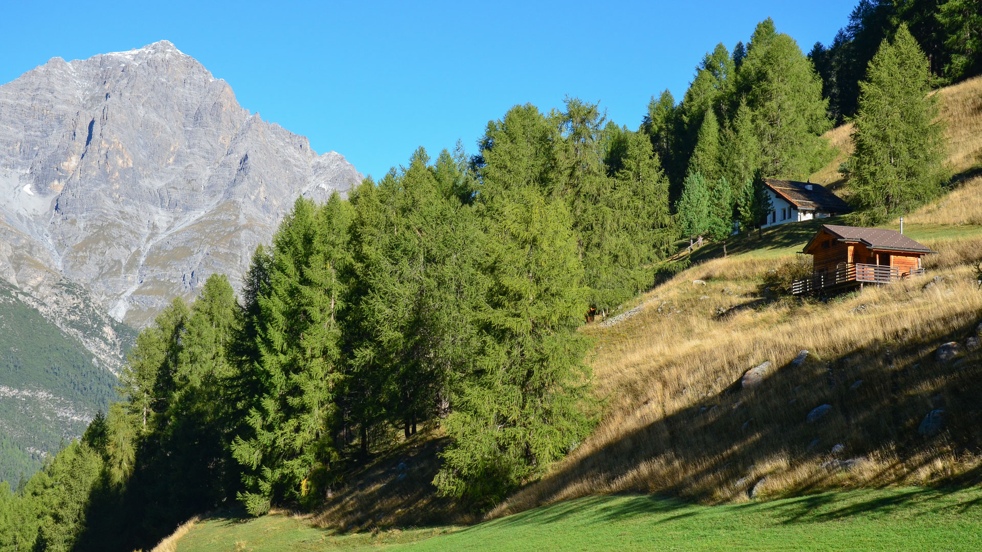 deux petites maison d'alpages, au coeur du Tyrol, aux abord d'une forêt avec un sommet montagneux en arrière plan
