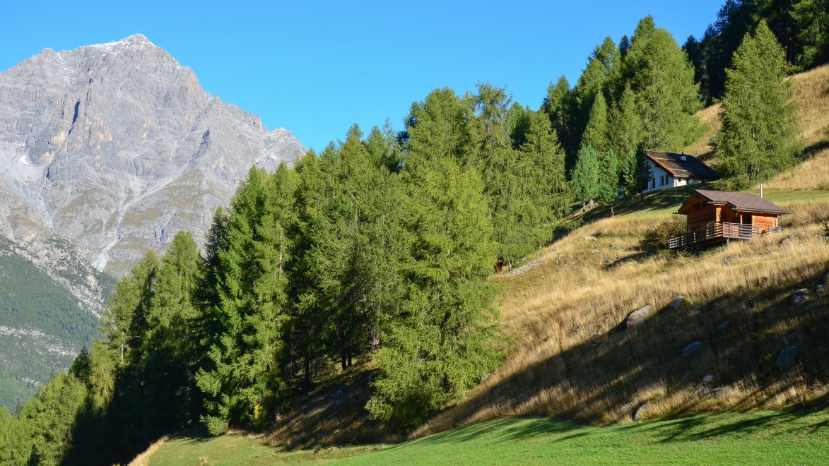 deux petites maison d'alpages, au coeur du Tyrol, aux abord d'une forêt avec un sommet montagneux en arrière plan