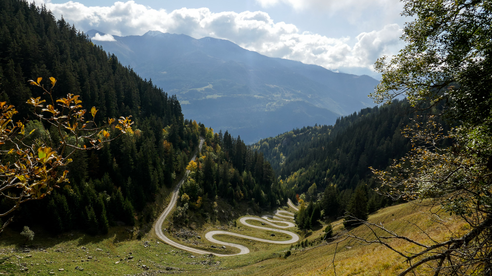 petite route gravel avec les Alpes en fond