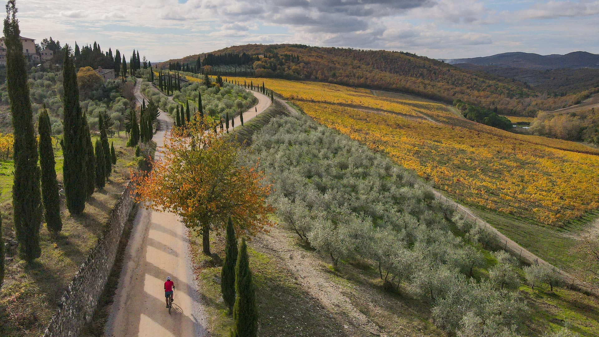 piste blanche au milieu de la campagne toscane vallonée, à travers des plantations d'oliviers, des cyprès, des champs céréaliers