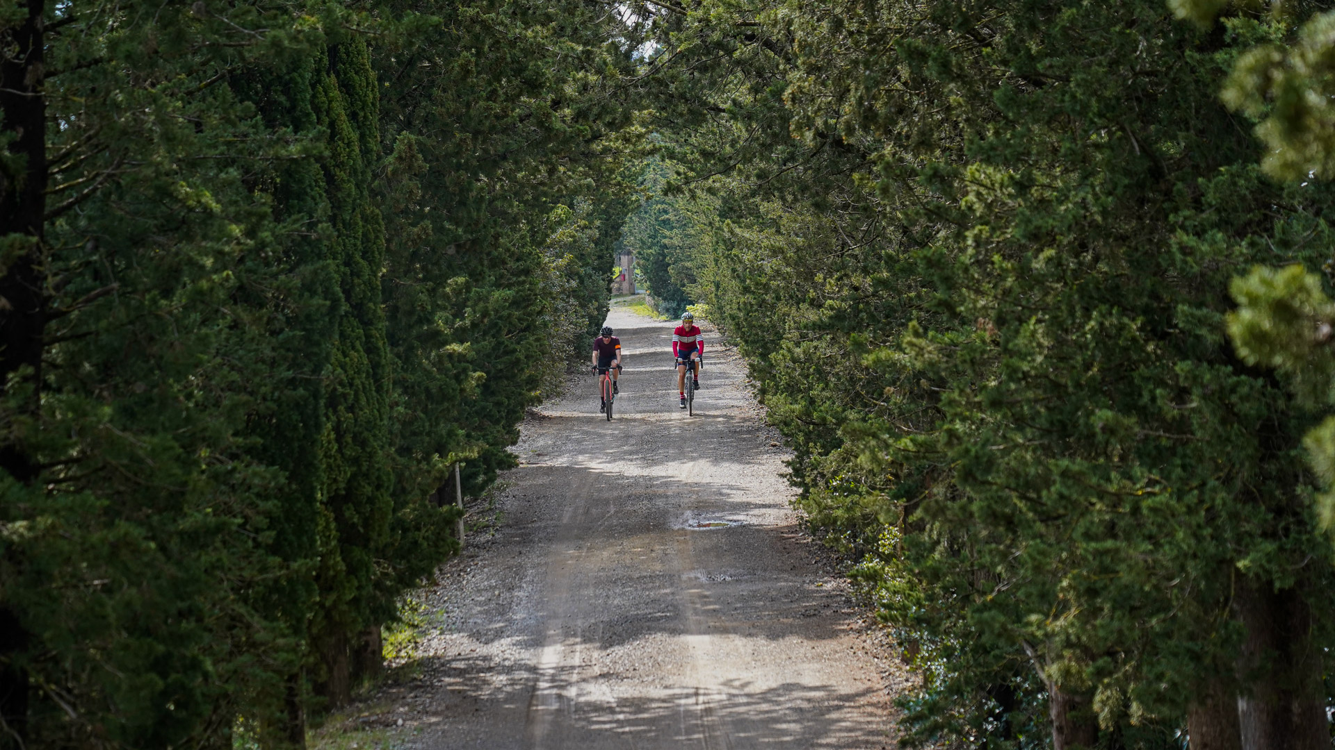 Deux cyclistes dans une allée de Cyprès en Toscane