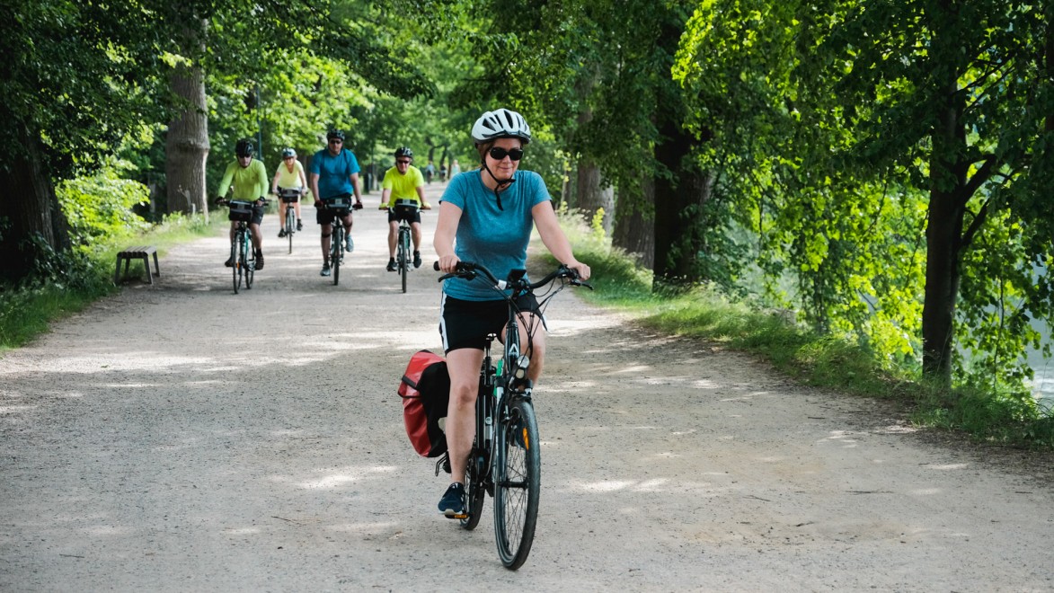groupe de cycliste dans une allée de parc ombragé entre Prague et Vienne