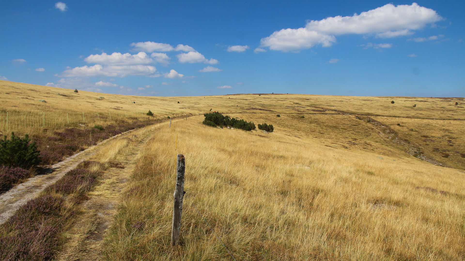 petit chemin gravel sur le Mont Lozère, point culminant des Cévènnes