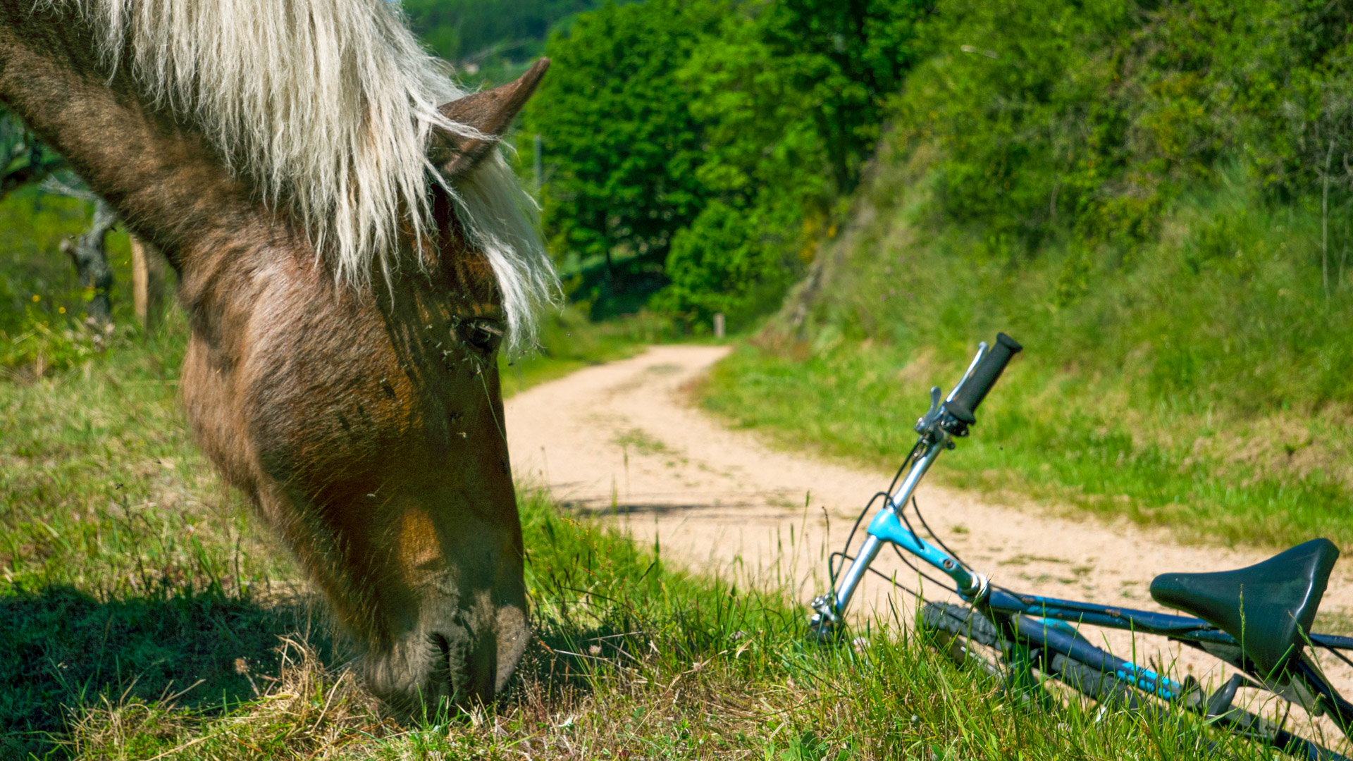 un cheval et un vélo au bord de la Dolce Via