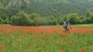 Pré Alpes du Sud : GRENOBLE - SISTERON : LES CHEMINS DU SOLEIL