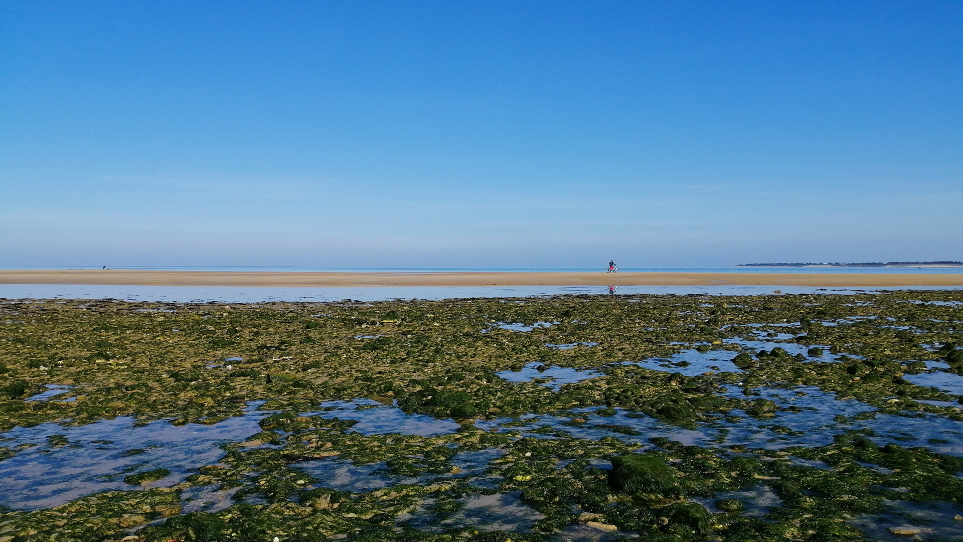 un vélo sur une longue plage de l'île de Ré