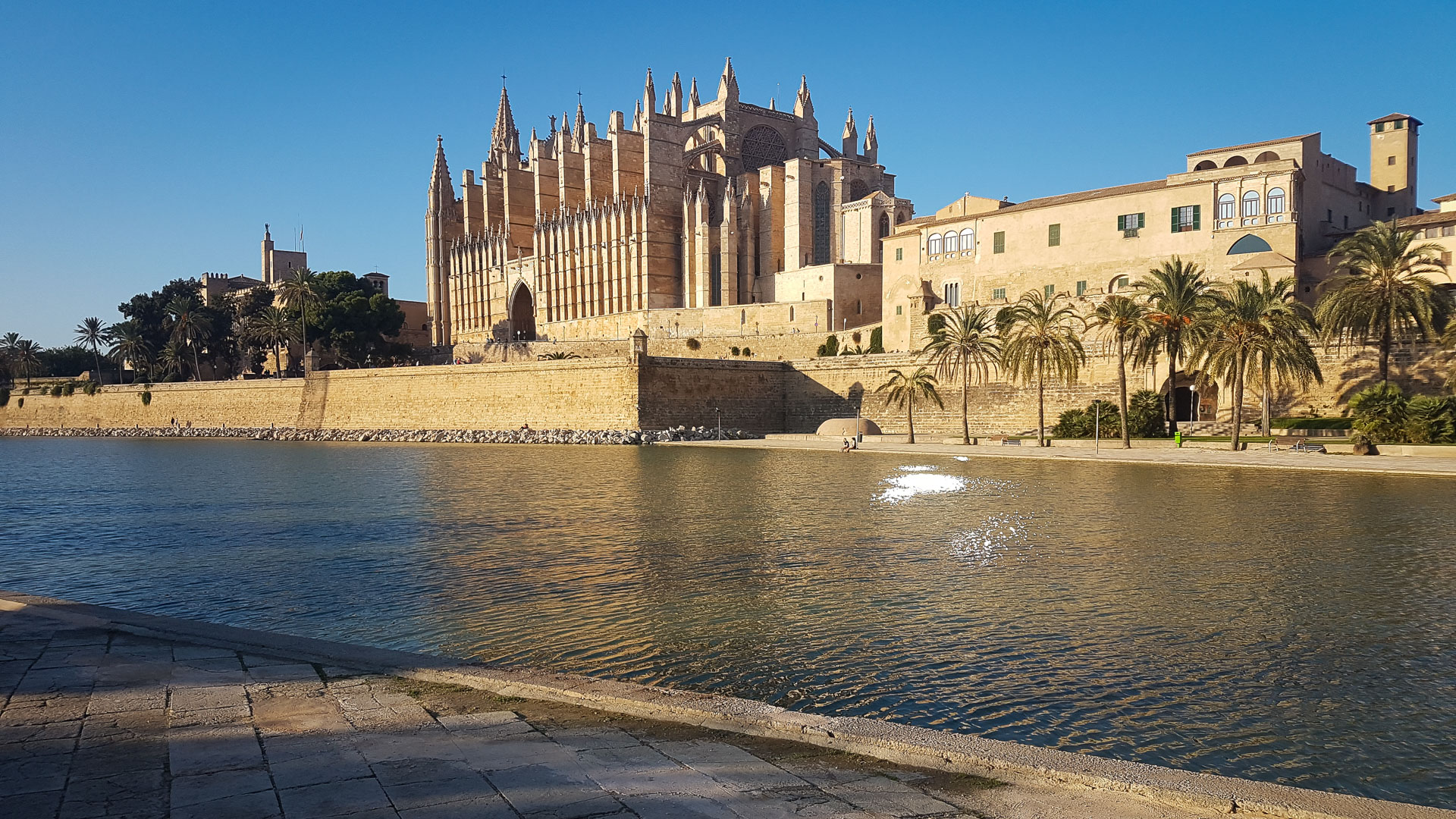 la cathédrale de Palma de Majorque, située au bord du rivage de la mer Méditerranée