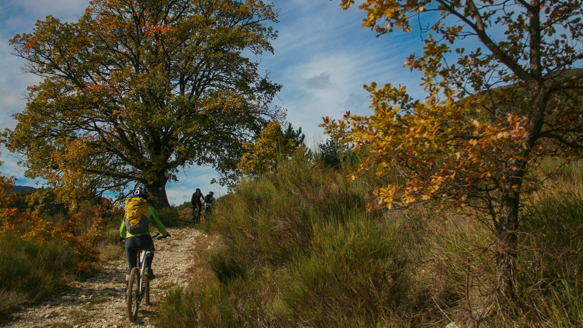 un VTT électrique traverse une forêt aux couleurs d'automne