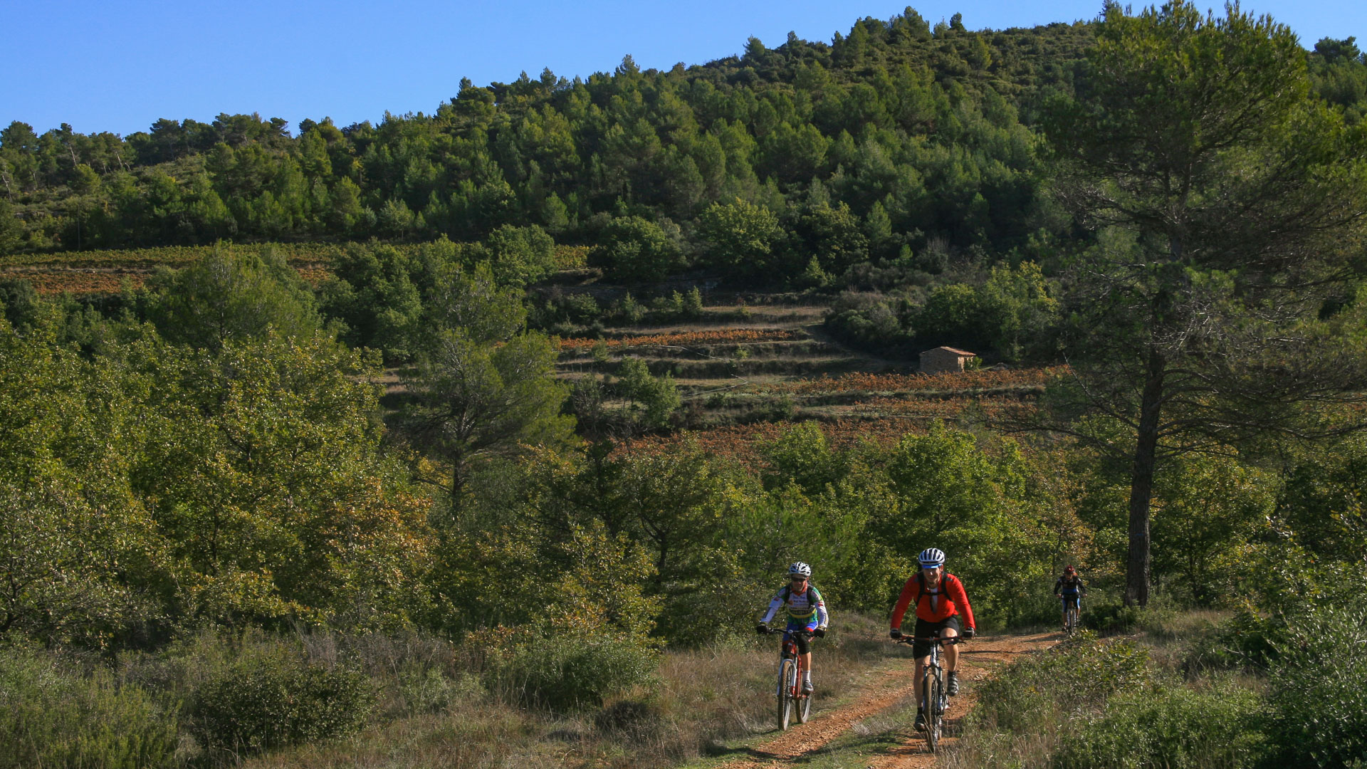 VTTAE à travers la végétation provençale