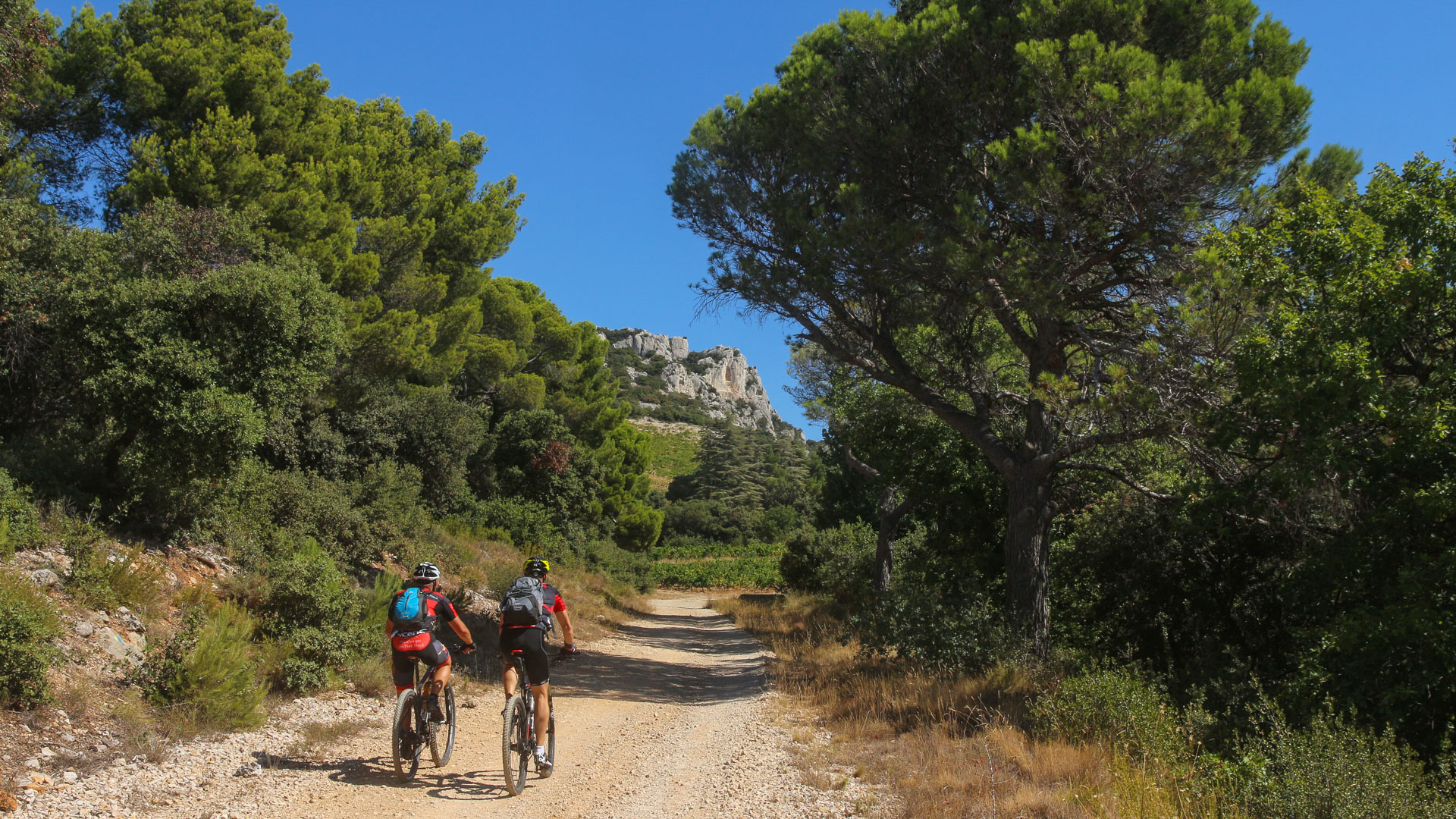 VTTAE sur une jolie piste en Provence