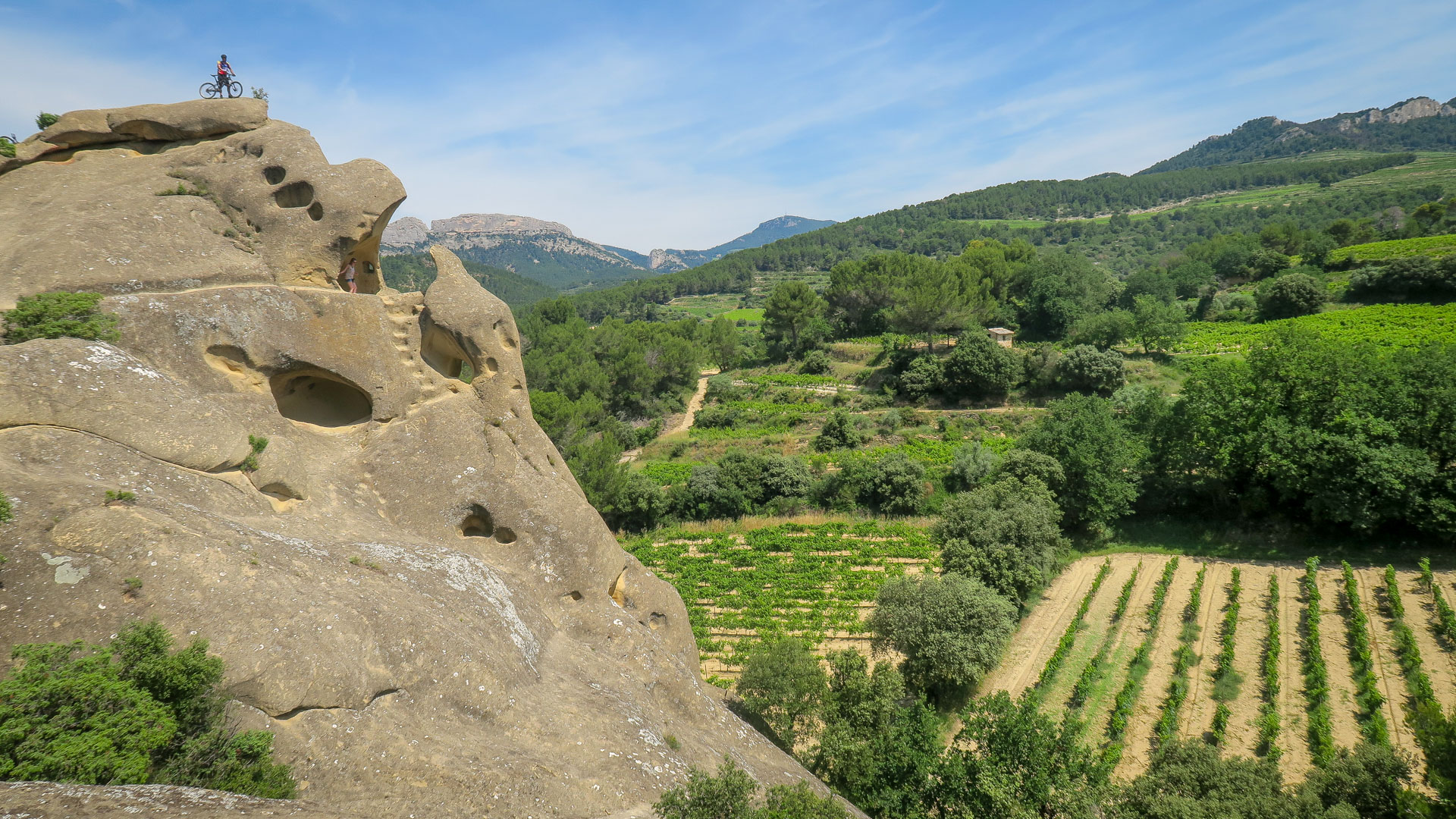 un vététiste contemple les vignobles des Côtes du Rhône