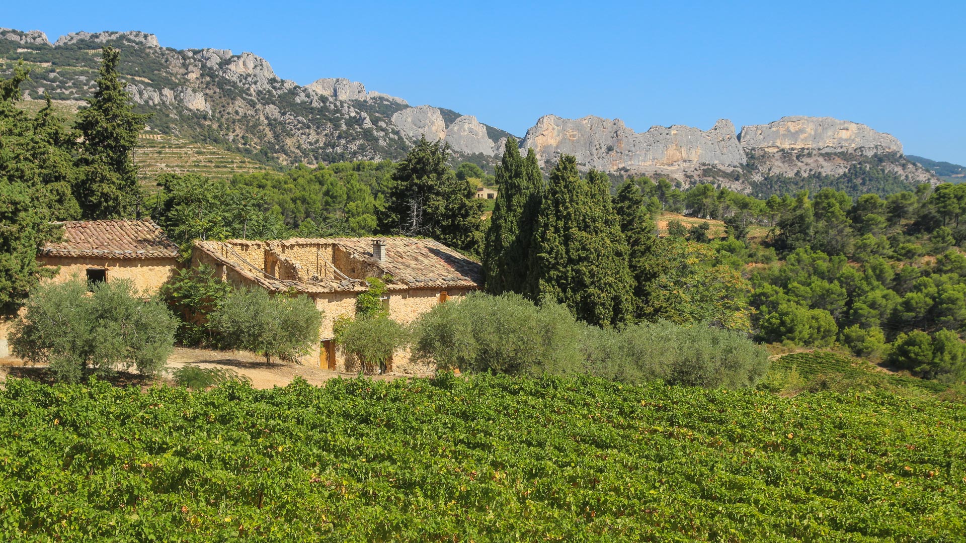 vielle bâtisse provençale au pied des Dentelles de Montmirail