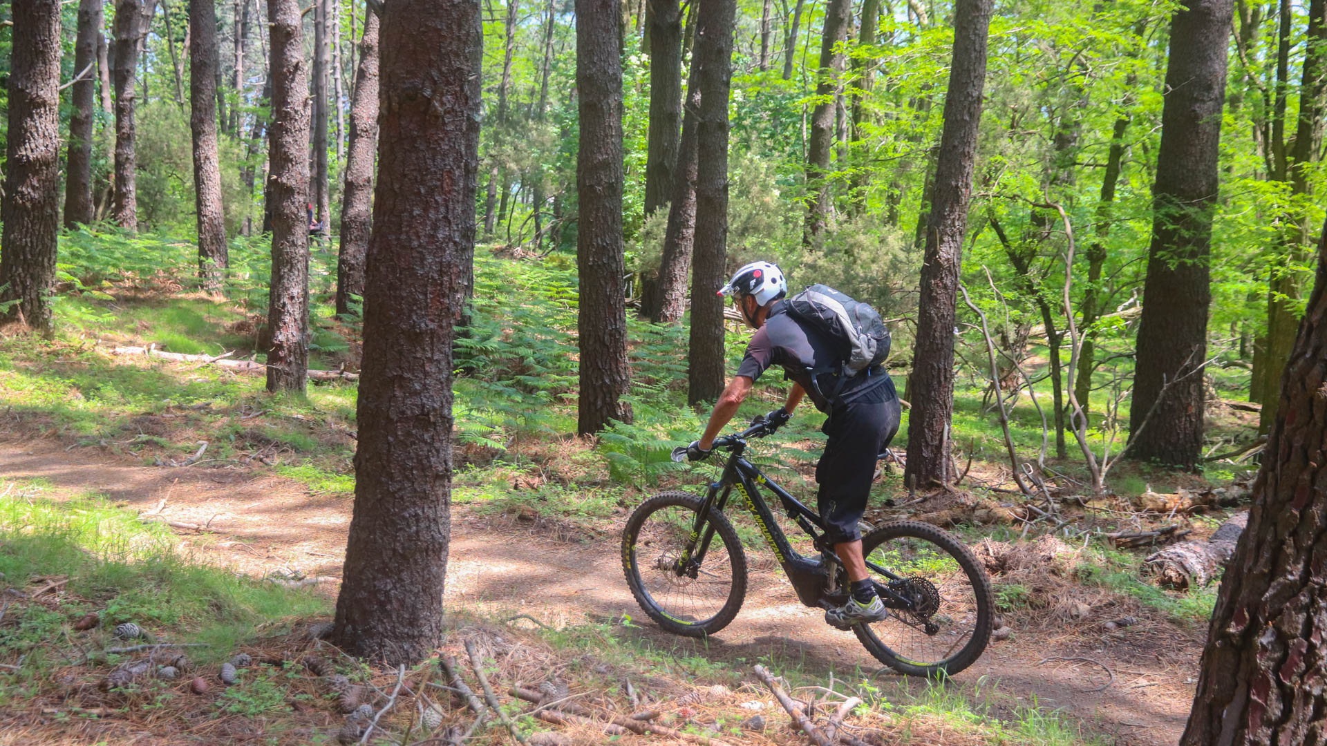 un cycliste à VTT à assistance électrique en sous-bois