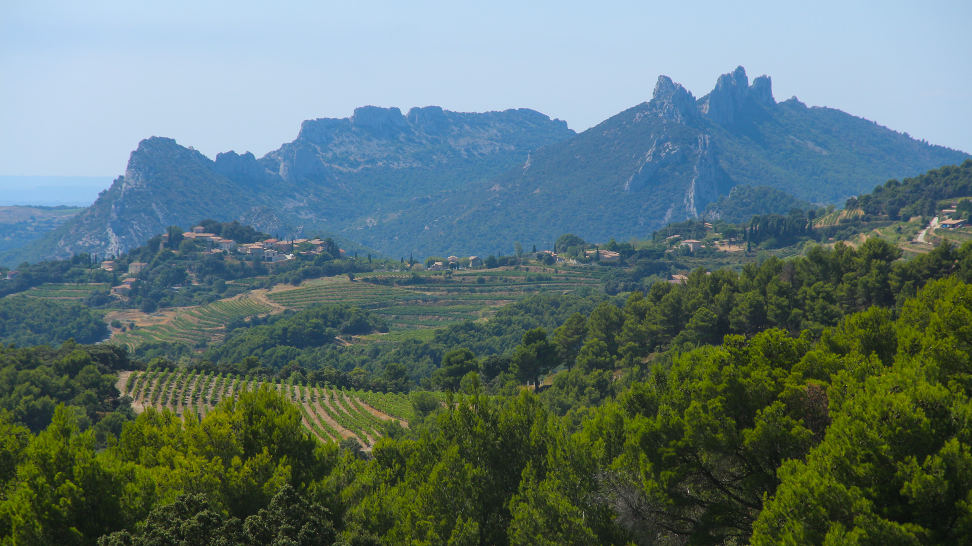 vue depuis le col de la Chaîne sur le massif des Dentelles de Montmirail, dans le Vaucluse