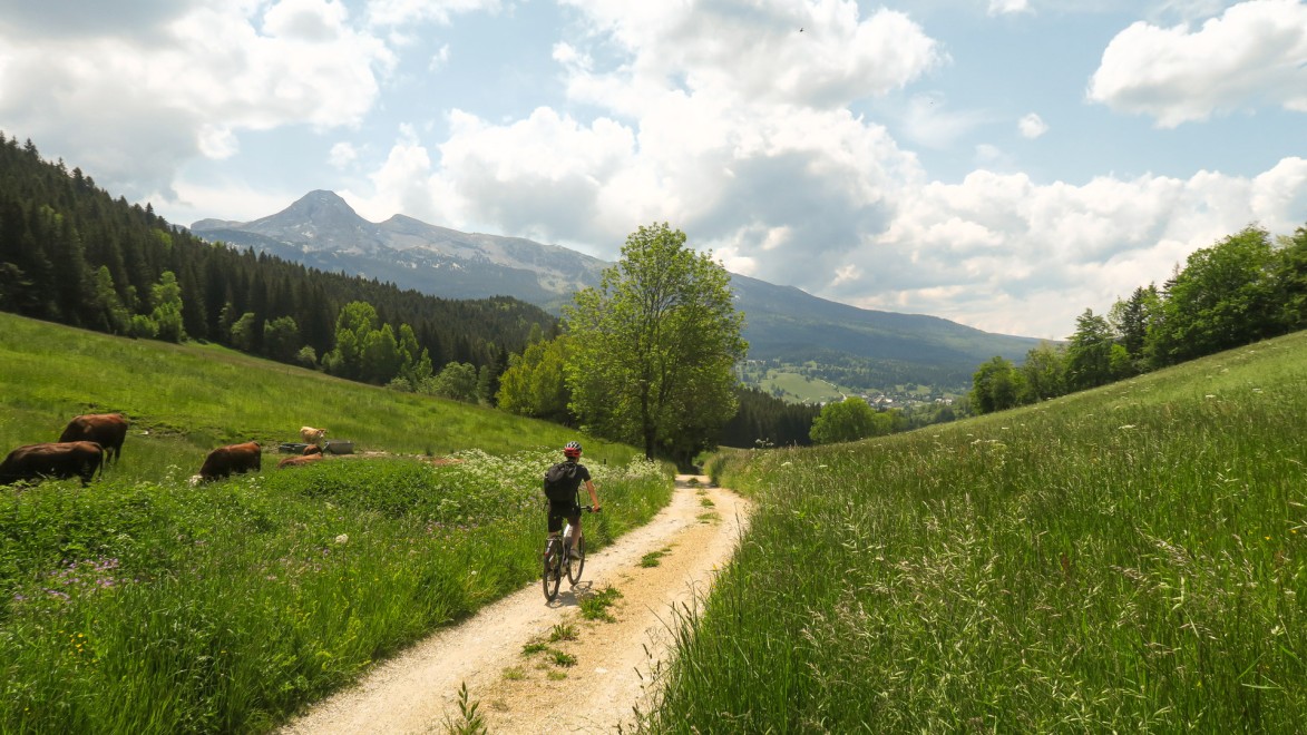 personne à vélo descendant une piste dans le Massif du Vercors