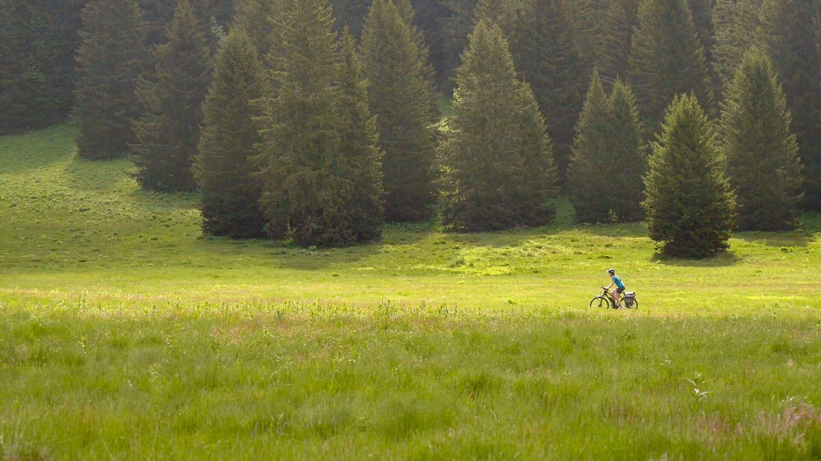 femme à vélo dans les alpages du Vercors