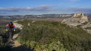 Provence : LE TOUR DES ALPILLES
