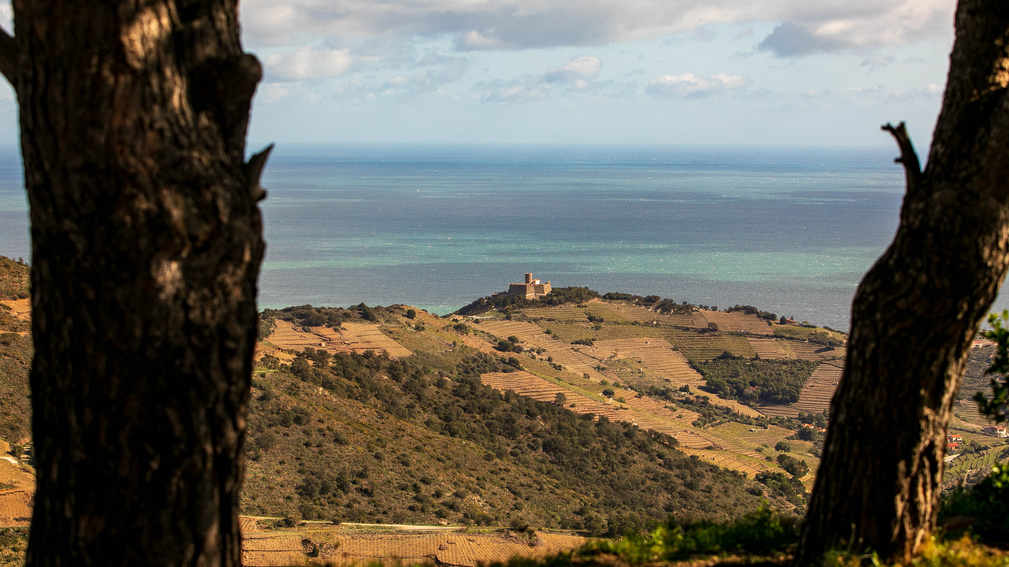 for Saint Elme, à Collioure