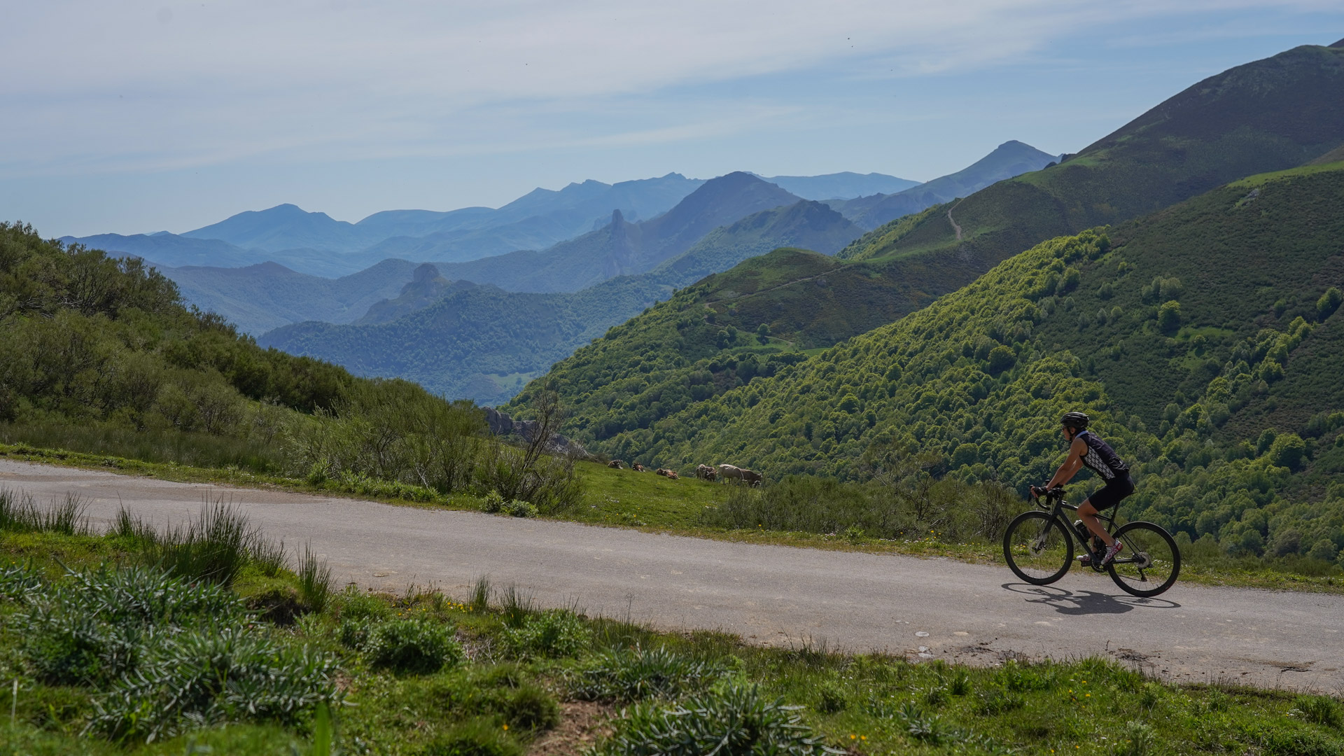 cycliste dans un parc naturel, avec les Picos de Europa en toile de fond
