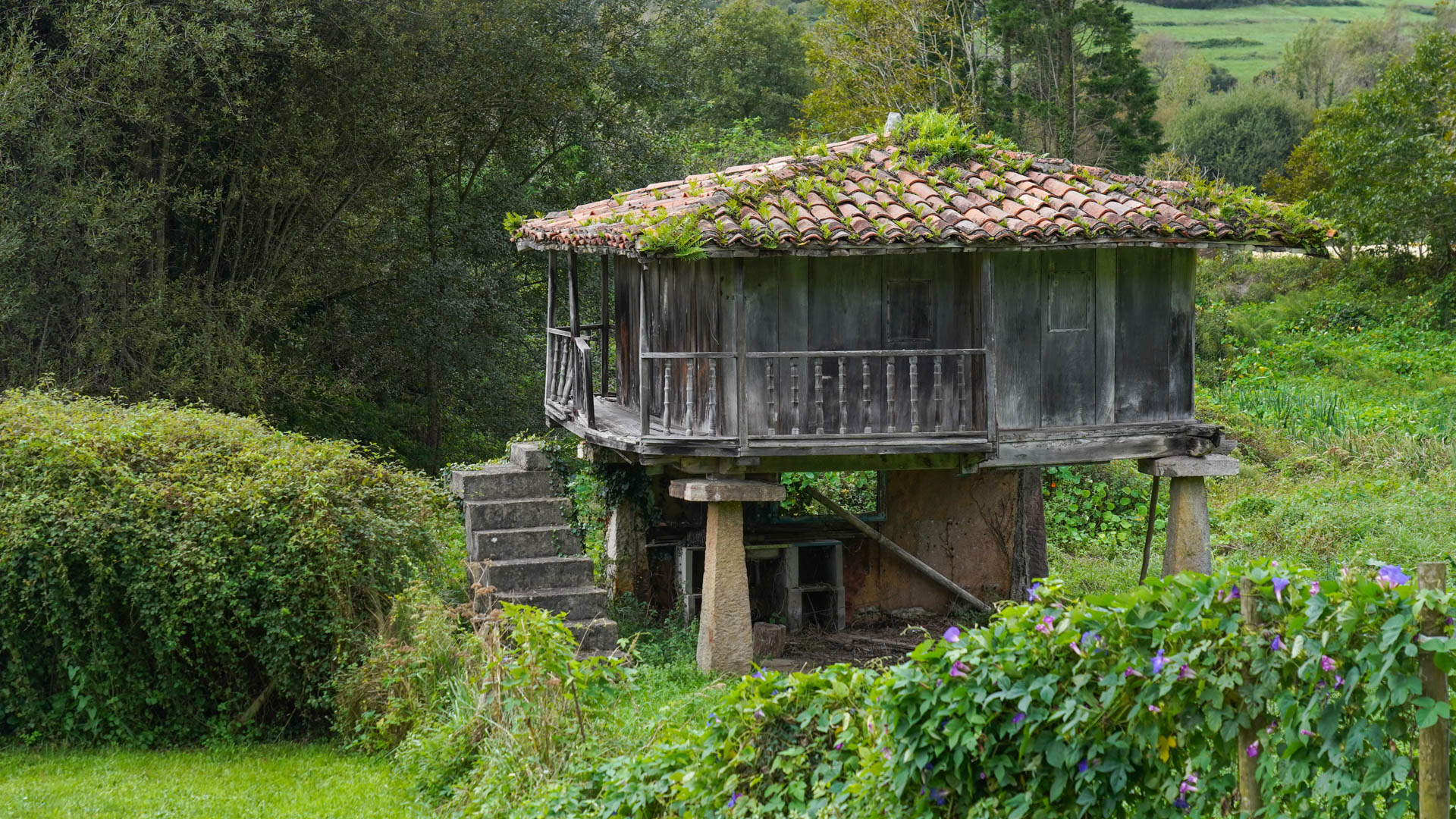 un horrios, grenier en bois sur pilotis typique des Asturies