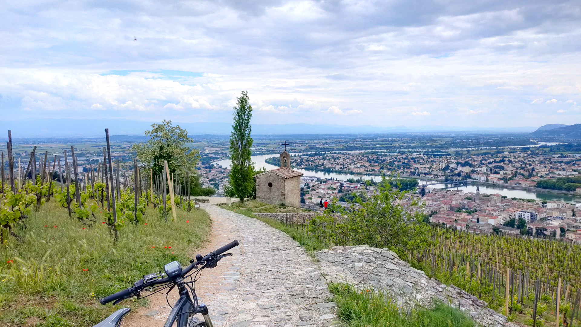 vélo sur une colline viticole surplombant le Rhône