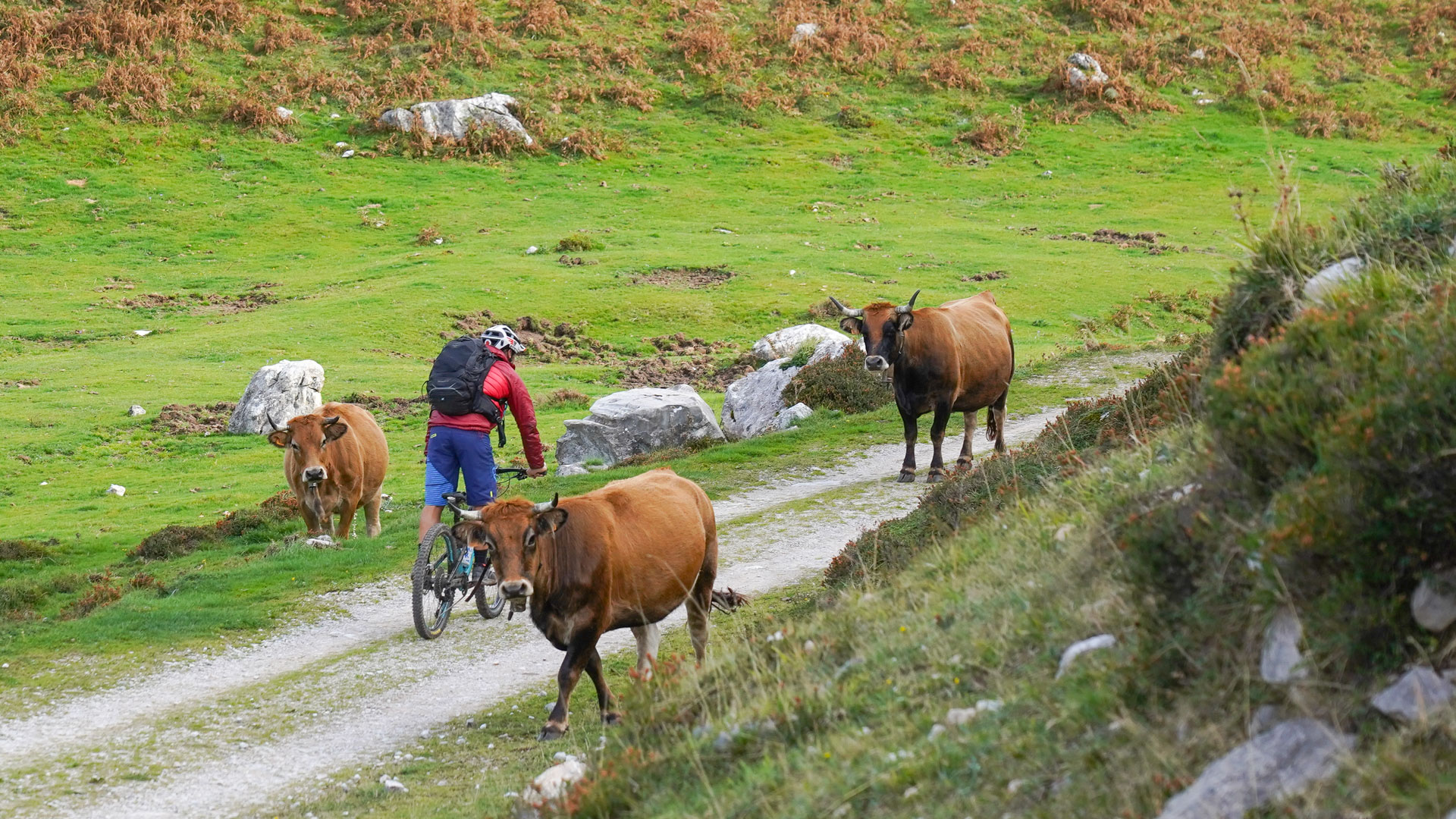 panorama sur les picos de europa